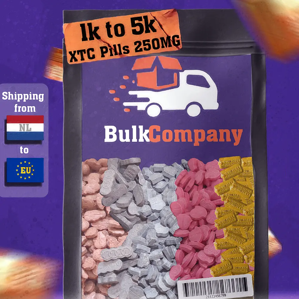 Bulk Company Design 1