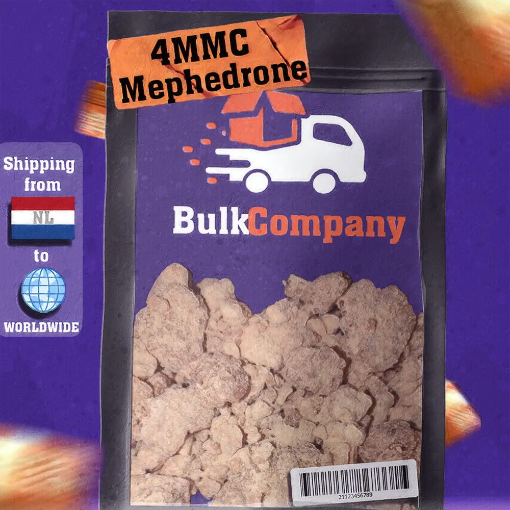 Bulk Company Design 3