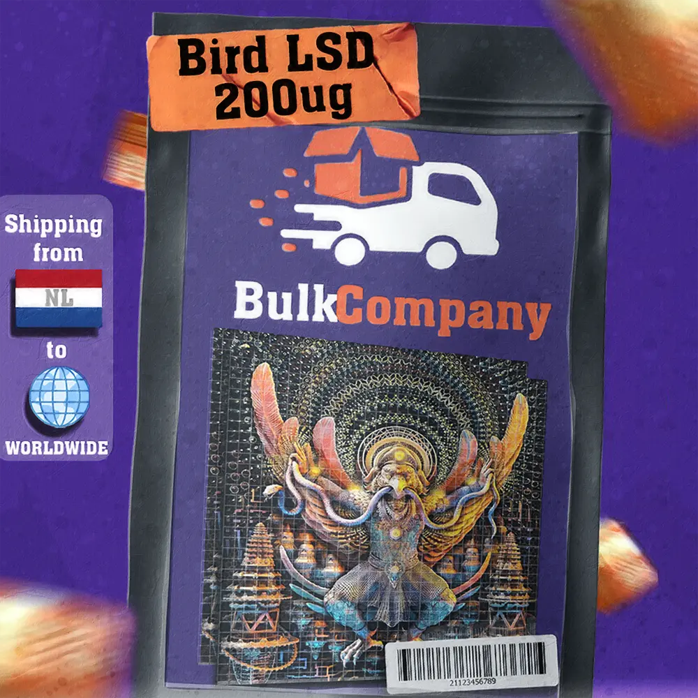 Bulk Company Design 4