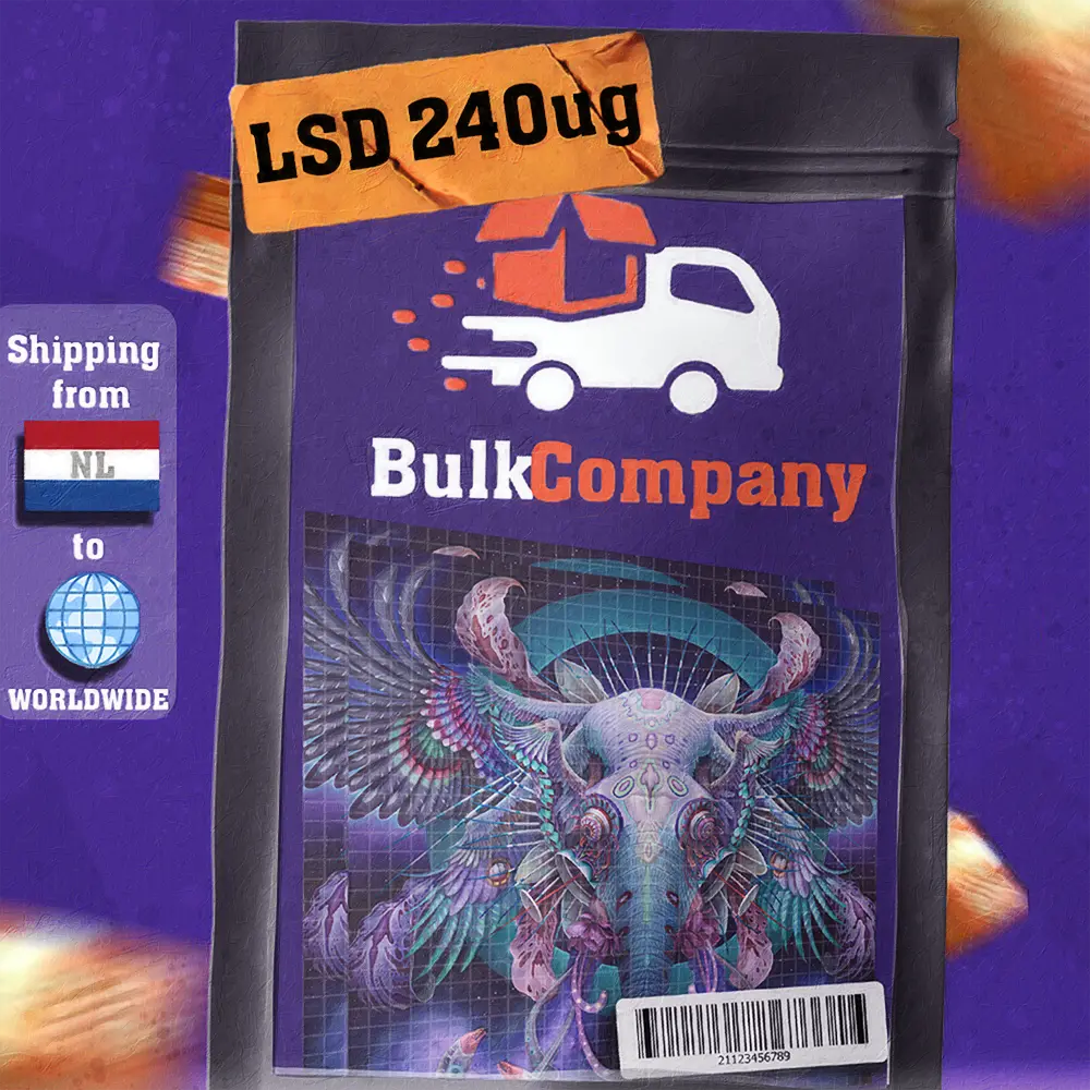 Bulk Company Design 5