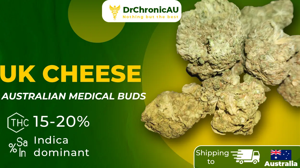 DrChronicAU Design 1