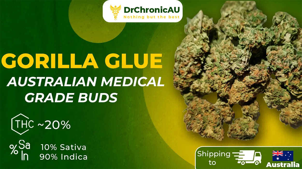 DrChronicAU Design 2