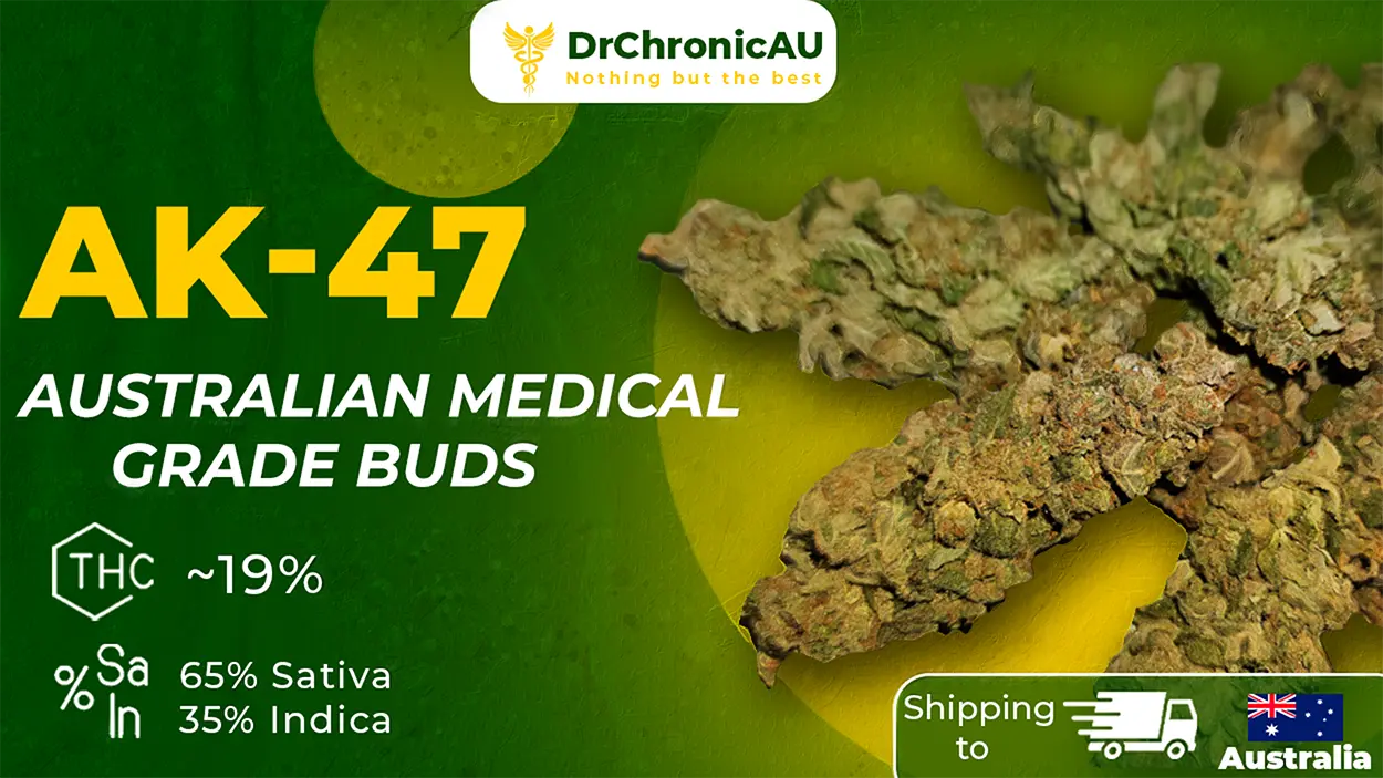 DrChronicAU Design 4