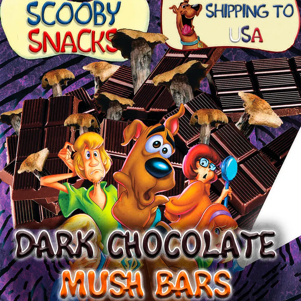Scooby Snacks Design 3
