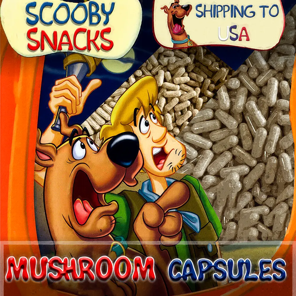 Scooby Snacks Design 4