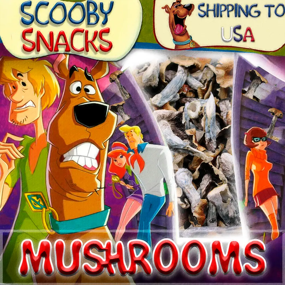 Scooby Snacks Design 6